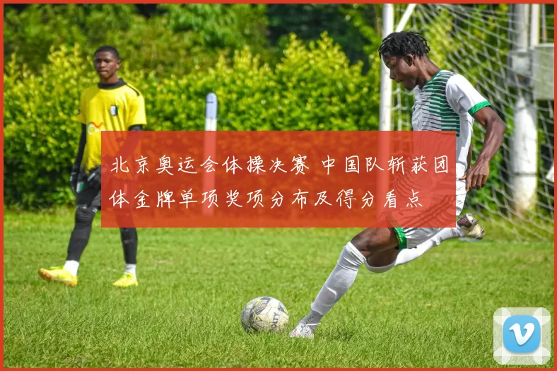 北京奥运会体操决赛 中国队斩获团体金牌单项奖项分布及得分看点