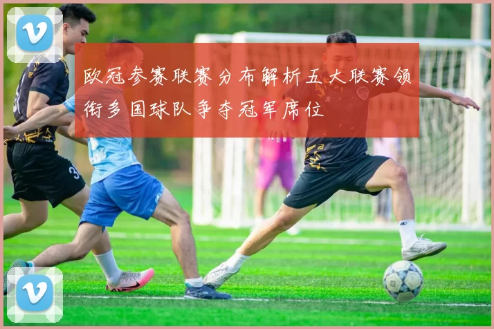 欧冠参赛联赛分布解析五大联赛领衔多国球队争夺冠军席位