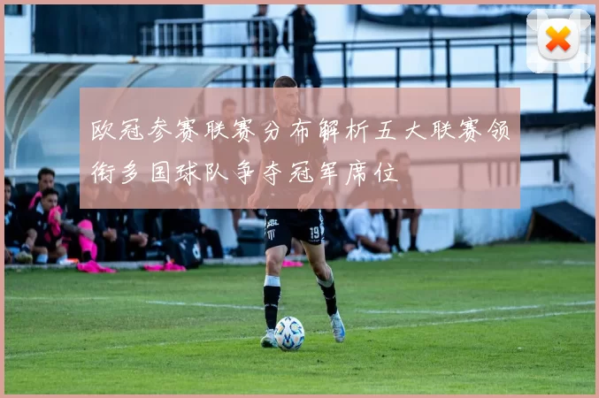 欧冠参赛联赛分布解析五大联赛领衔多国球队争夺冠军席位
