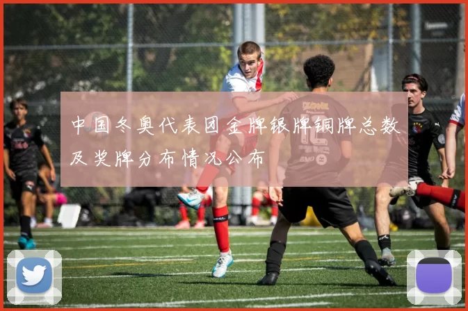 中国冬奥代表团金牌银牌铜牌总数及奖牌分布情况公布