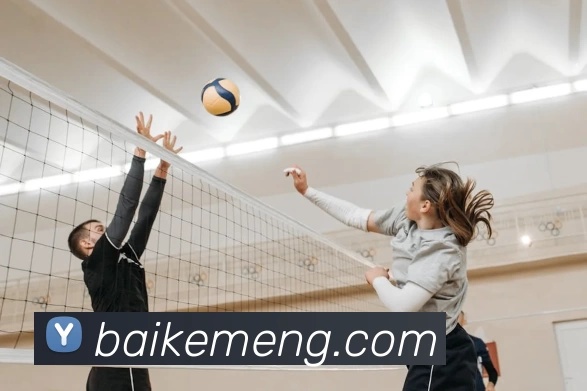 App Interface Preview